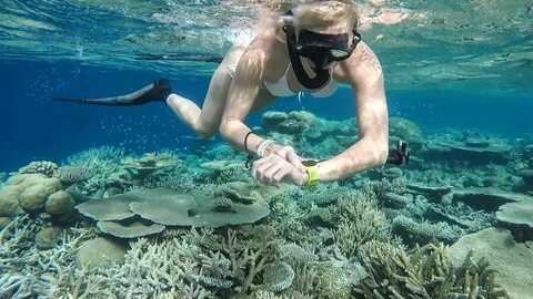 Snorkeling in Maldives Corals